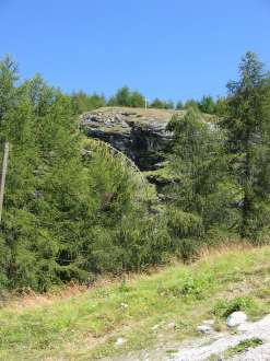 IMG_4452.JPG